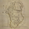pianta-2